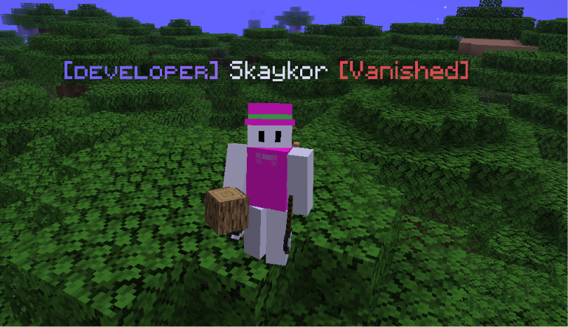 Skaykor in-game as a Developer on a Minecraft server, standing in a lush green forest with the [DEVELOPER] Skaykor [Vanished] nametag